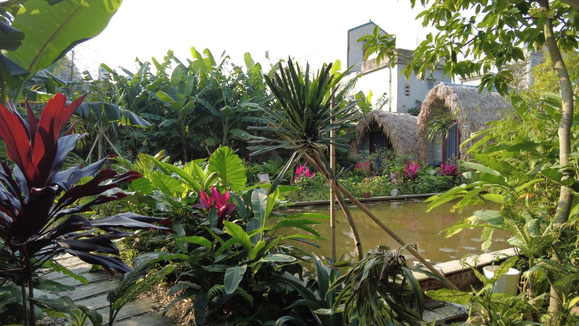 Amy House Apartman Ninh Bình Kültér fotó