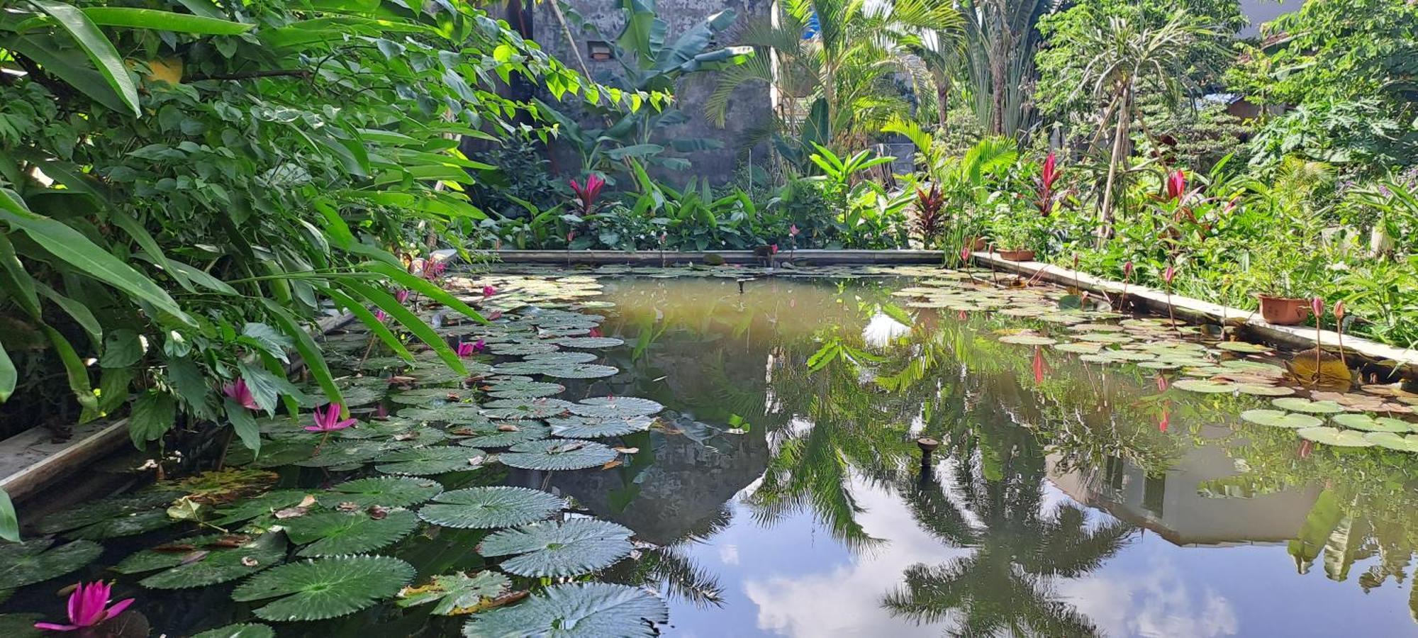 Amy House Apartman Ninh Bình Kültér fotó